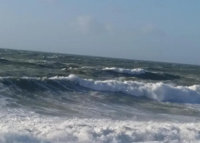 Le Welcome Vue Port Plain Pied Appartement Fécamp